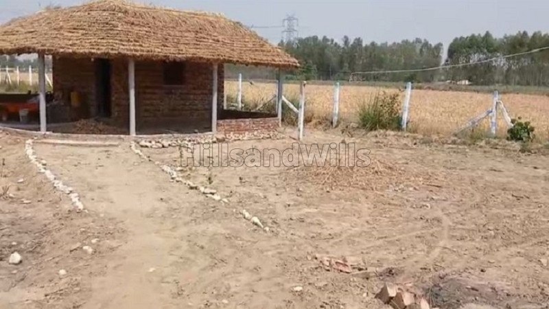 ₹31 Lac | 12 bigha agriculture land for sale in shakhubhari mata road dehradun