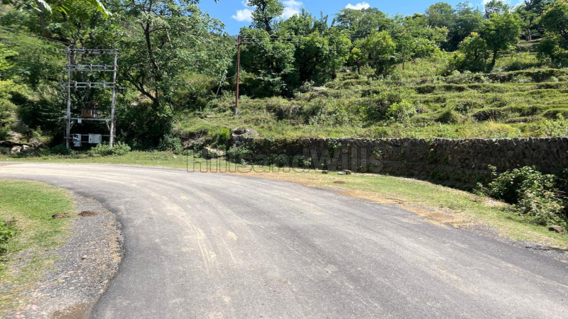 ₹6 Lac | 64 kanal agriculture land for sale in drini bhaler, near shahpur himachal pradesh