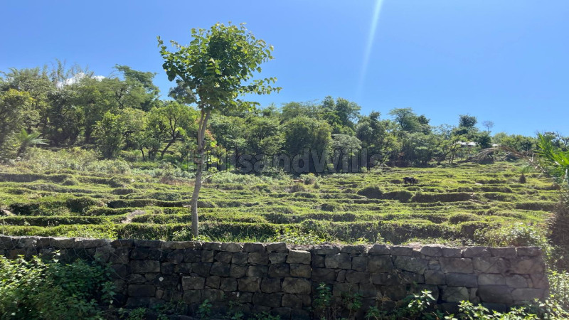 ₹6 Lac | 64 kanal agriculture land for sale in drini bhaler, near shahpur himachal pradesh