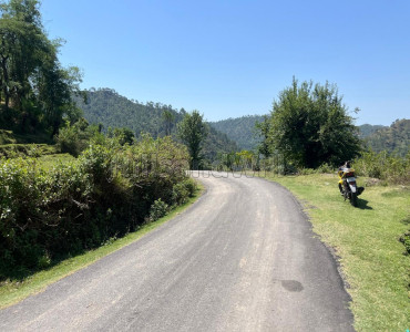 64 kanal agriculture land for sale  in drini bhaler, near shahpur himachal pradesh