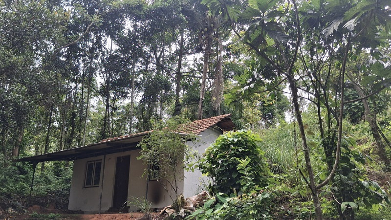 ₹80 Lac&nbsp;|&nbsp;1 acres estate with villa and a cottage for sale  in wayanad