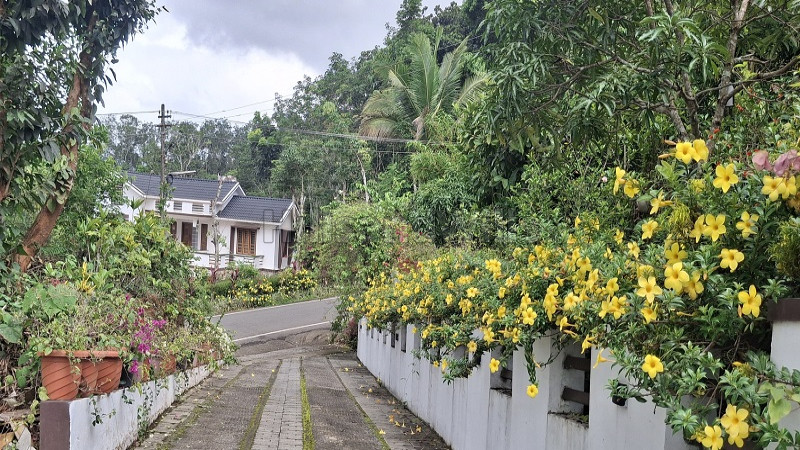 1 acres estate with villa and a cottage for sale  in wayanad