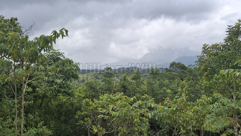 ₹80 Lac&nbsp;|&nbsp;1 acres estate with villa and a cottage for sale  in wayanad
