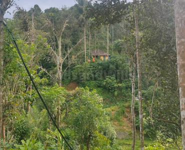1.28 acres  cardamom estate for sale  near anachal idukki