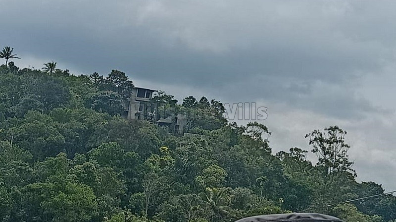 ₹39 Lac&nbsp;|&nbsp;1.28 acres  cardamom estate for sale  near anachal idukki