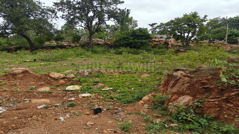 ₹2.31 Cr&nbsp;|&nbsp;33 cents residential plot for sale  in nilavoor yelagiri