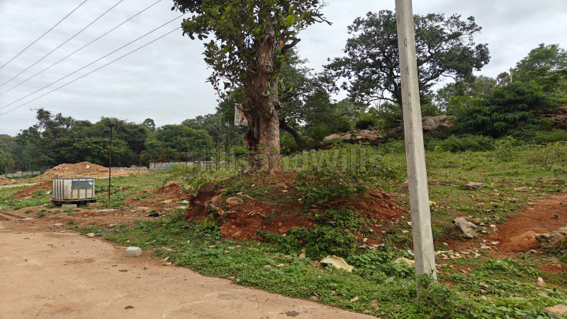 ₹2.31 Cr&nbsp;|&nbsp;33 cents residential plot for sale  in nilavoor yelagiri