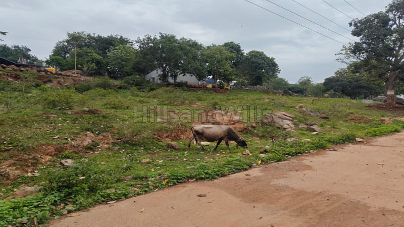 ₹2.31 Cr&nbsp;|&nbsp;33 cents residential plot for sale  in nilavoor yelagiri