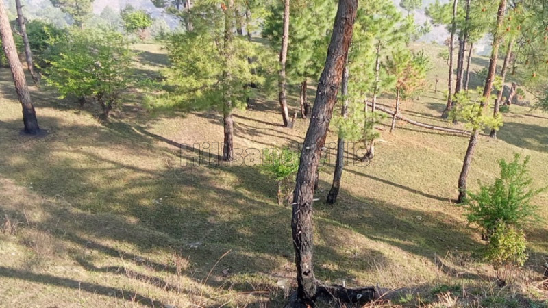 ₹350 Cr&nbsp;|&nbsp;102 acres land for sale  in kakrighat nainital