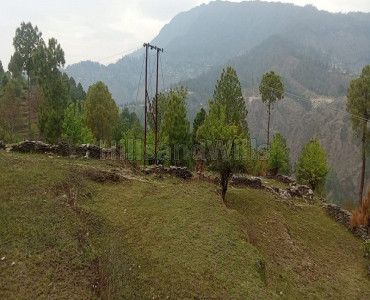 102 acres land for sale  in kakrighat nainital