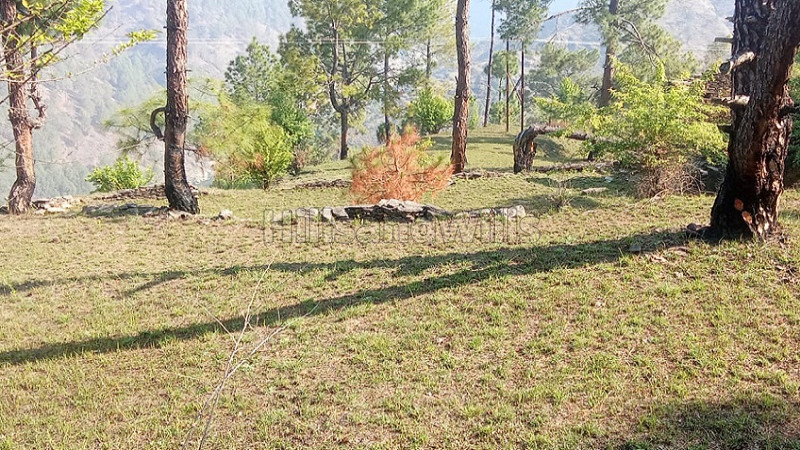 ₹350 Cr&nbsp;|&nbsp;102 acres land for sale  in kakrighat nainital