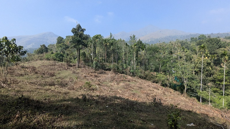 ₹1 Cr | 95 cents scenic view land for sale in padinjarathara wayanad