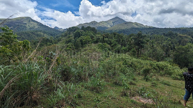 ₹1 Cr | 95 cents scenic view land for sale in padinjarathara wayanad
