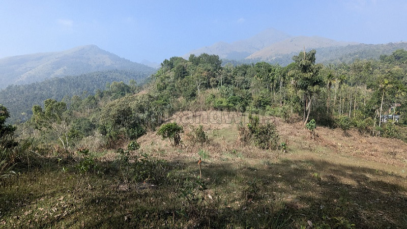 ₹1 Cr | 95 cents scenic view land for sale in padinjarathara wayanad