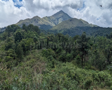 95 cents  scenic view land for sale  in padinjarathara wayanad