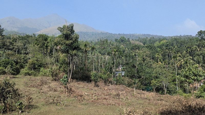 ₹1 Cr | 95 cents scenic view land for sale in padinjarathara wayanad