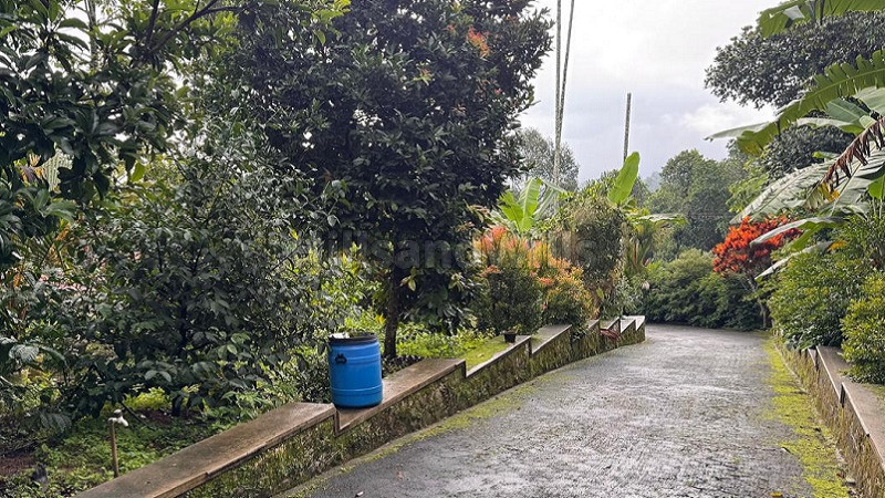 ₹12 Cr | 5bhk bungalow for sale in meenangadi town wayanad
