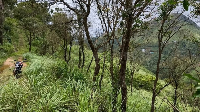 ₹85 Lac&nbsp;|&nbsp;50 cents residential plot for sale  in vagamon idukki