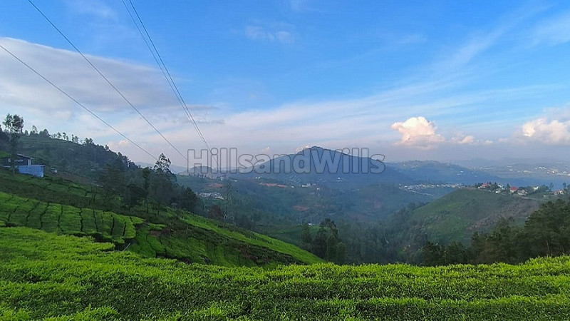 ₹14.48 Cr | 3.62 acres tea estate for sale in bettatti coonoor