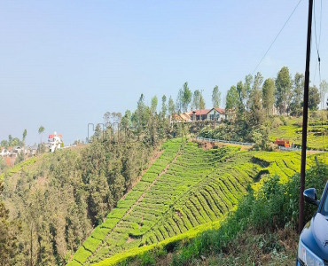 3.62 acres tea estate for sale  in bettatti coonoor