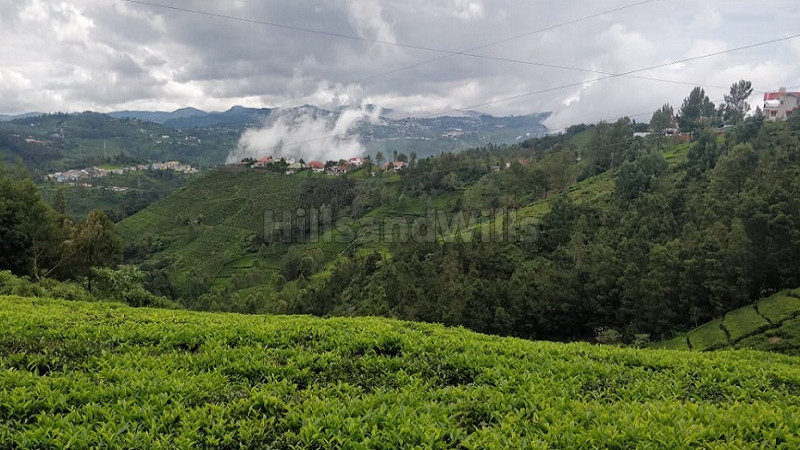₹14.48 Cr | 3.62 acres tea estate for sale in bettatti coonoor