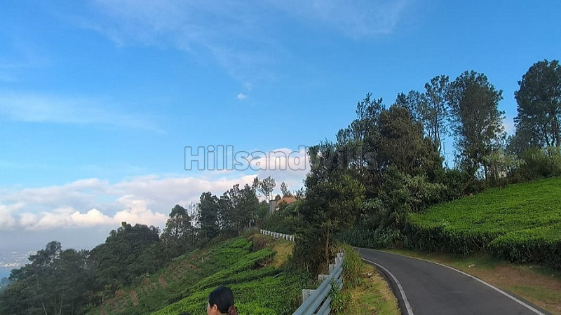 ₹14.48 Cr | 3.62 acres tea estate for sale in bettatti coonoor