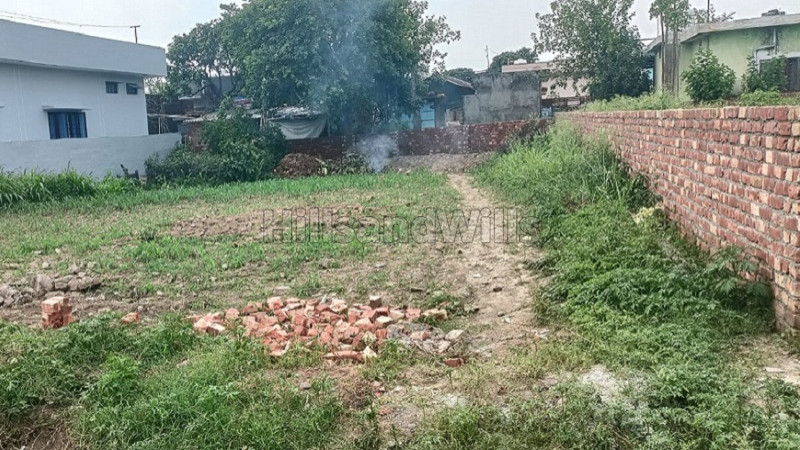 ₹67.50 Lac | 375 gaj residential plot for sale in rajawala dehradun