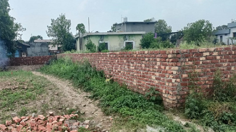 ₹67.50 Lac | 375 gaj residential plot for sale in rajawala dehradun