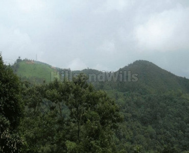 12.35 acres  na residential land for sale  in madikeri coorg