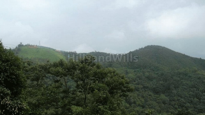 ₹55 Cr | 12.35 acres na residential land for sale in madikeri coorg
