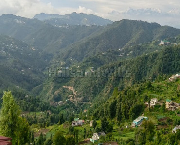 7100 sq.ft. agriculture land for sale  in dhanachuli nainital