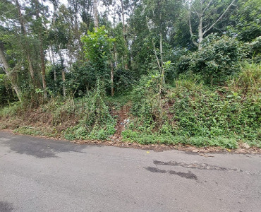 27 cents  main road land for sale  in thandikudi kodaikanal