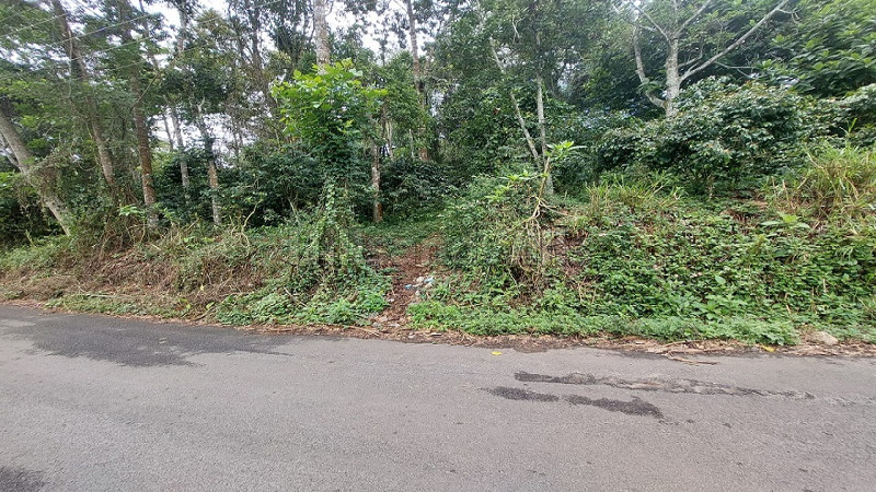 ₹48 Lac | 27 cents main road land for sale in thandikudi kodaikanal