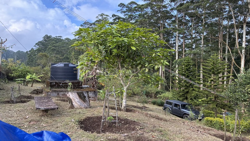 ₹3 Cr&nbsp;|&nbsp;1bhk farm house for sale  in shenbaganoor kodaikanal