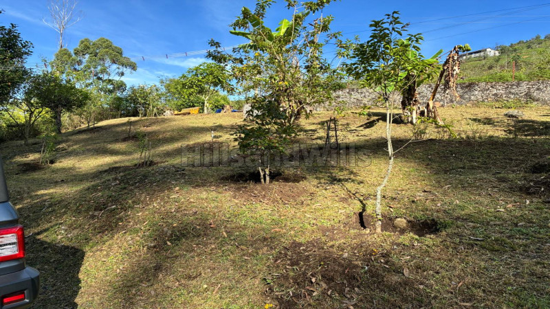 ₹3 Cr&nbsp;|&nbsp;1bhk farm house for sale  in shenbaganoor kodaikanal
