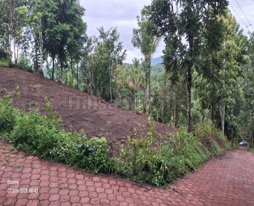 25 cents  scenic view plot for sale  in nadavayal wayanad