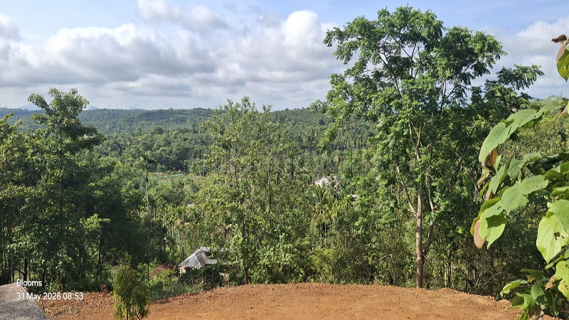 ₹15 Lac&nbsp;|&nbsp;25 cents  scenic view plot for sale  in nadavayal wayanad