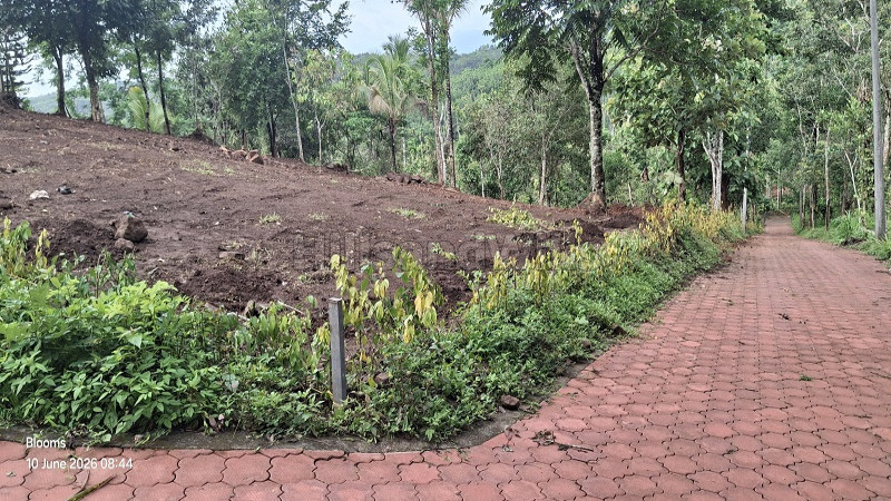 ₹15 Lac&nbsp;|&nbsp;25 cents  scenic view plot for sale  in nadavayal wayanad