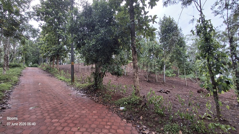 ₹15 Lac&nbsp;|&nbsp;25 cents  scenic view plot for sale  in nadavayal wayanad