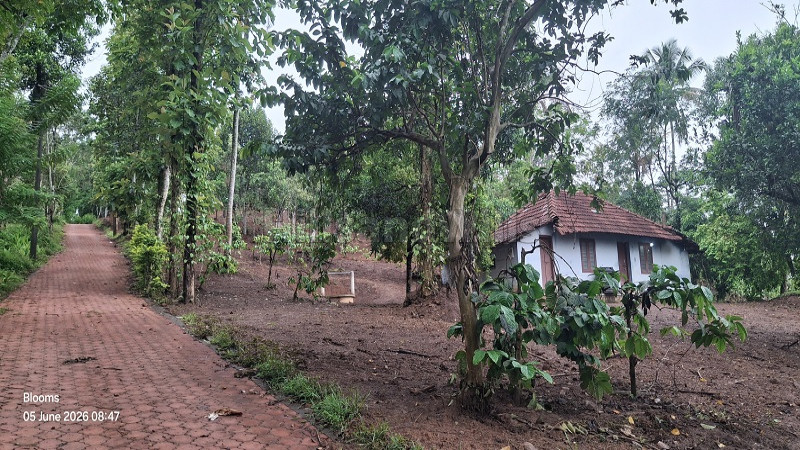 ₹15 Lac&nbsp;|&nbsp;25 cents  scenic view plot for sale  in nadavayal wayanad