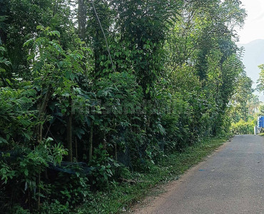 1 ares  coffee estate for sale  in puthurvayal gudalur