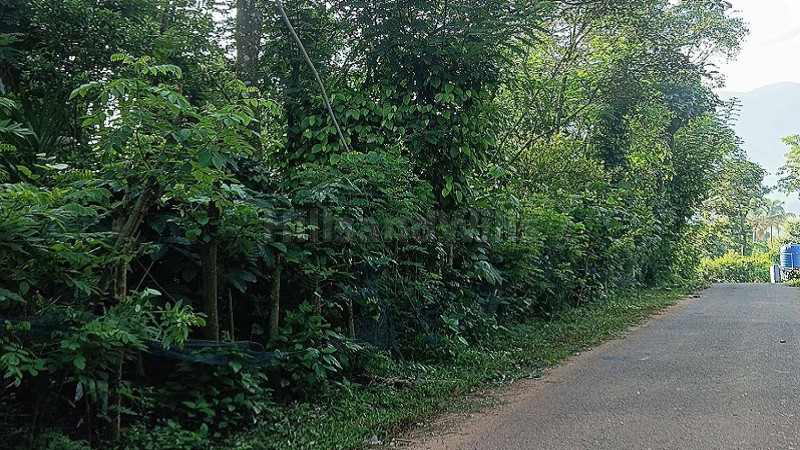 ₹1.60 Cr | 1 ares coffee estate for sale in puthurvayal gudalur