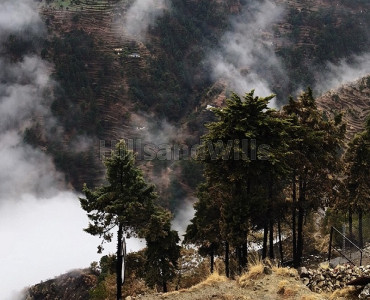 1000 nali  scenic view land for sale  in uttarkasi uttarakhand