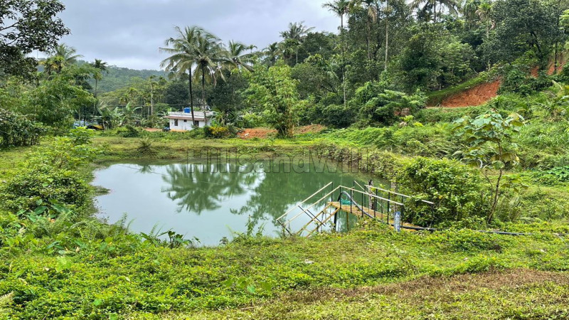 ₹25 Cr&nbsp;|&nbsp;23 acres tea estate for sale  in thonernad wayanad