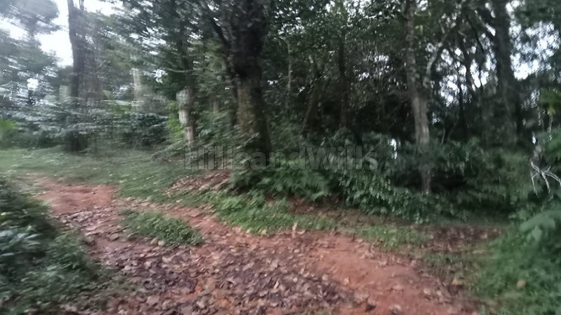 ₹79.20 Lac&nbsp;|&nbsp;167.50 cents coffee estate for sale  in bagamandala coorg
