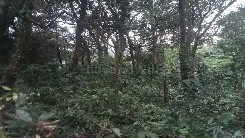 ₹79.20 Lac&nbsp;|&nbsp;167.50 cents coffee estate for sale  in bagamandala coorg