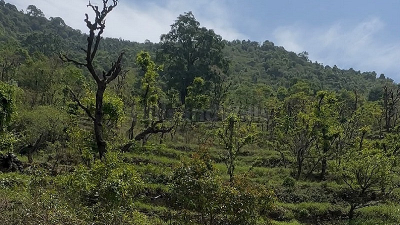 ₹7 Cr&nbsp;|&nbsp;30 nali  land for sale  in rishikesh