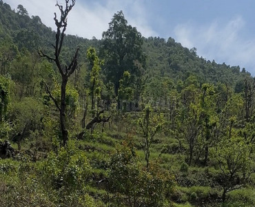 30 nali  land for sale  in rishikesh