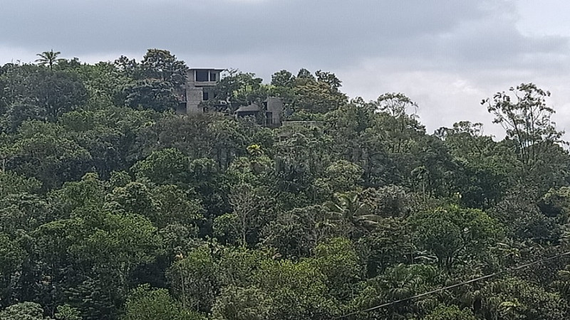 ₹4.50 Cr | 128 cents cardamom estate for sale in el kunnu munnar