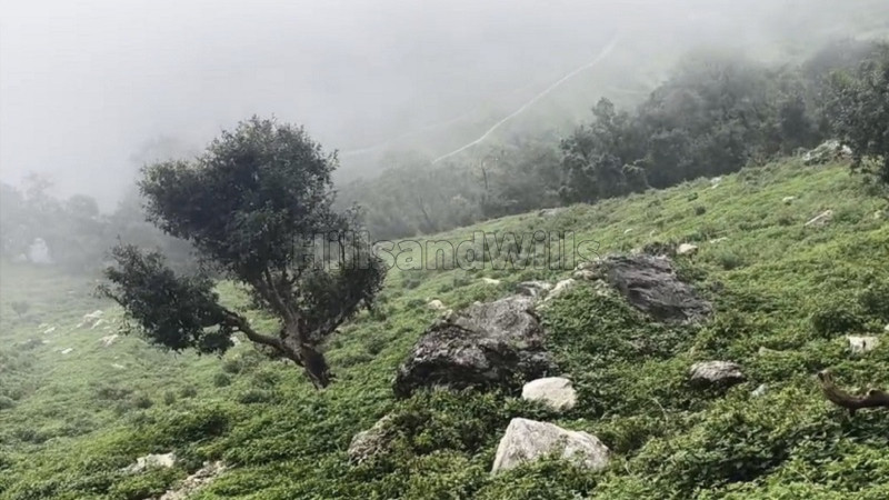 ₹1.50 Cr | 16 nali residential plot for sale in tehri garhwal near rishikesh